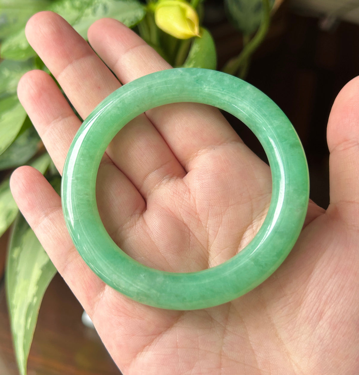 Natural Burmese Jadeite Bangle, Type A Jade, Vibrant Apple Green, Excellent Translucency, Fine Glutinous Texture 55mm