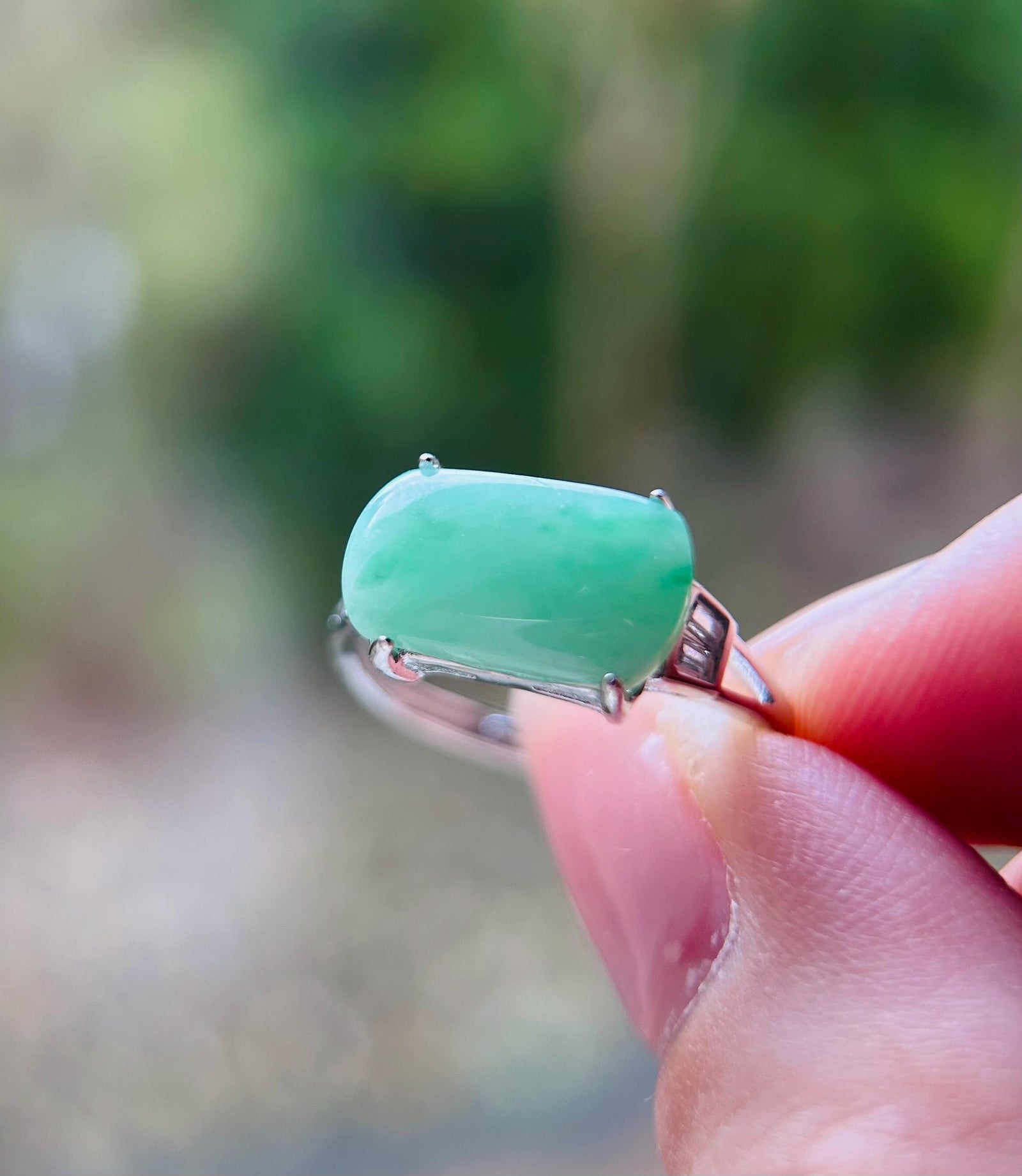 Jadeite Ring Jewelry Gift Burmese Authentic Untreated fine glutinous Type A Yellow or Green Jadeite Adjustable Sterling Silver Saddle Ring