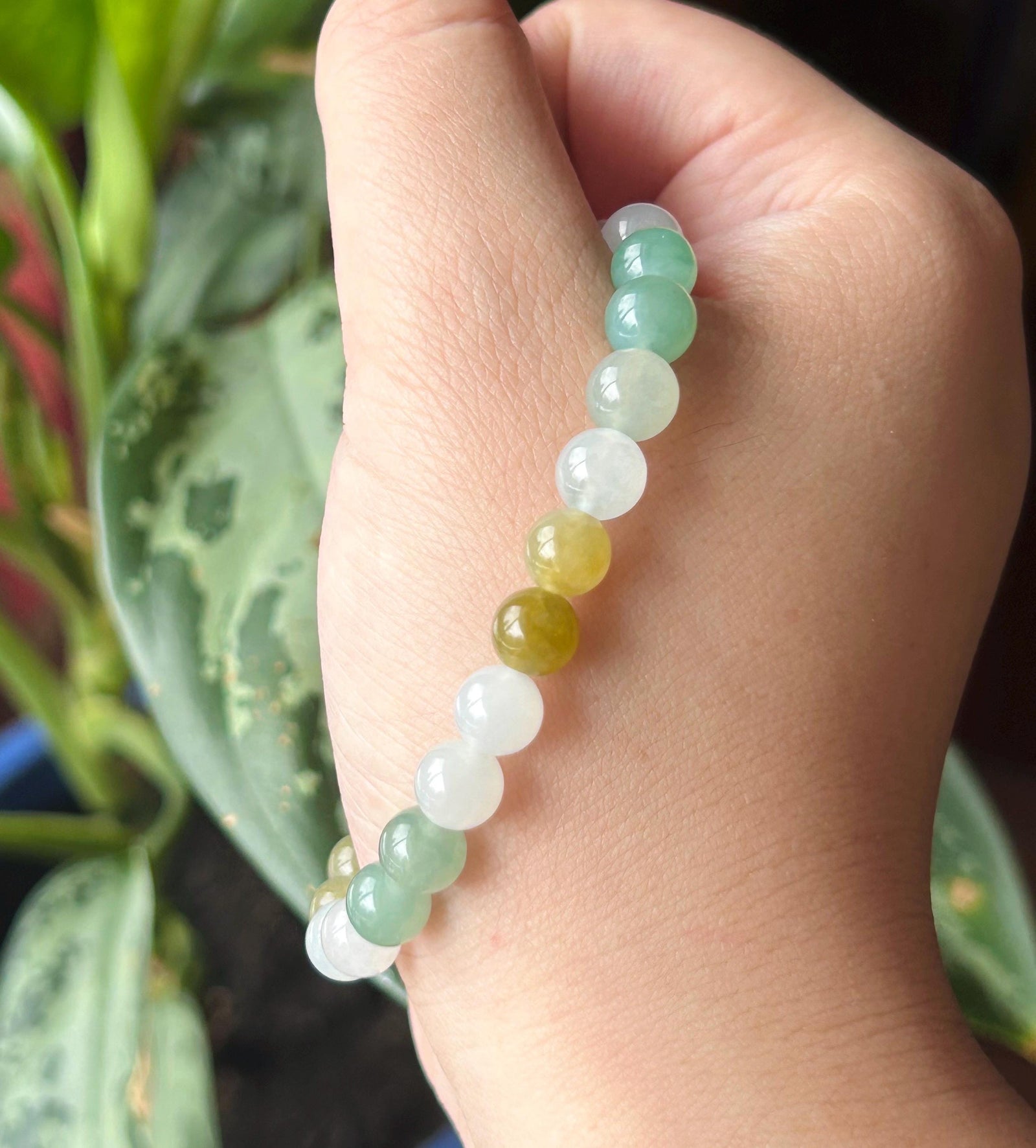 Natural Jadeite Beaded Bracelet Jewelry Burmese Type A Gelatinous Icy Translucent White, Green, Honey Yellow Jade 7.5mm