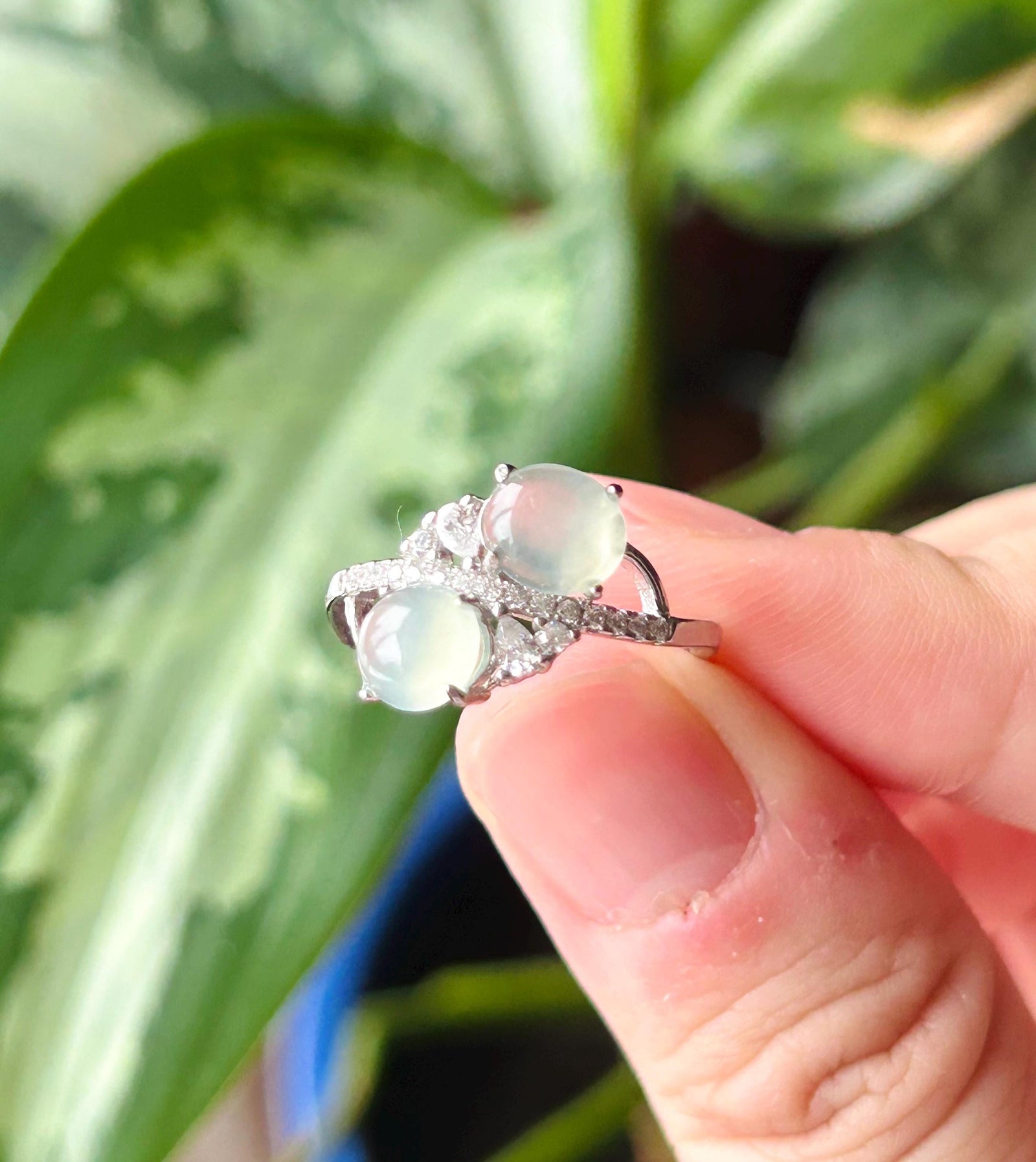Natural Jadeite Double Cabochon Ring | Burmese Type A Highly Translucent Icy White Jade Sterling Silver | Minimalist Jewelry