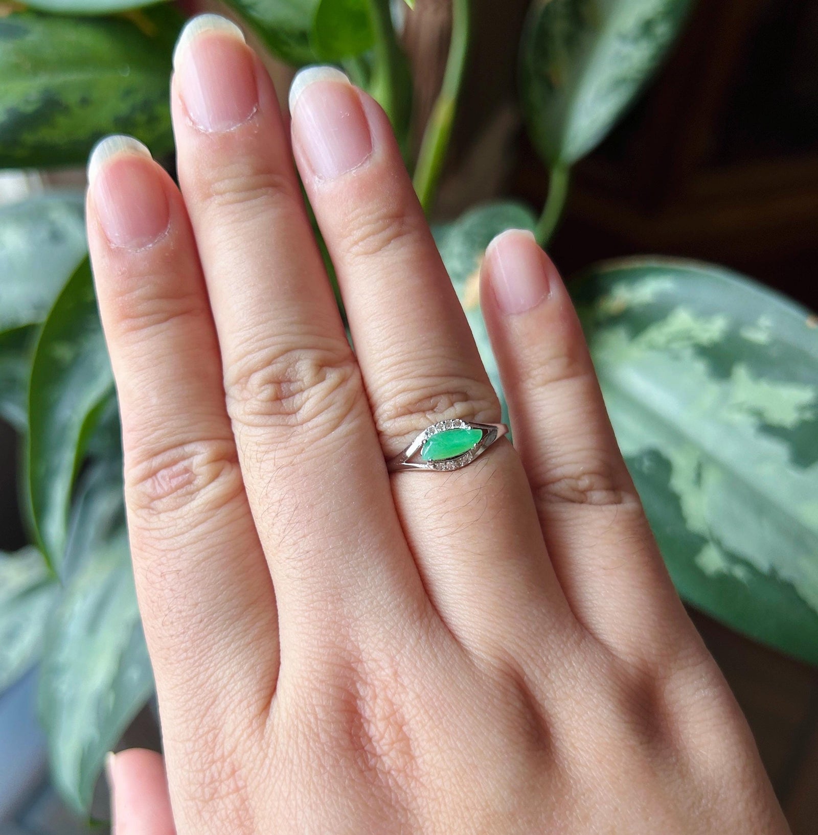 Natural Jadeite Marquise Cabochon Ring Burmese Type A fine glutinous Vivid Apple Green Jade | Sterling Silver