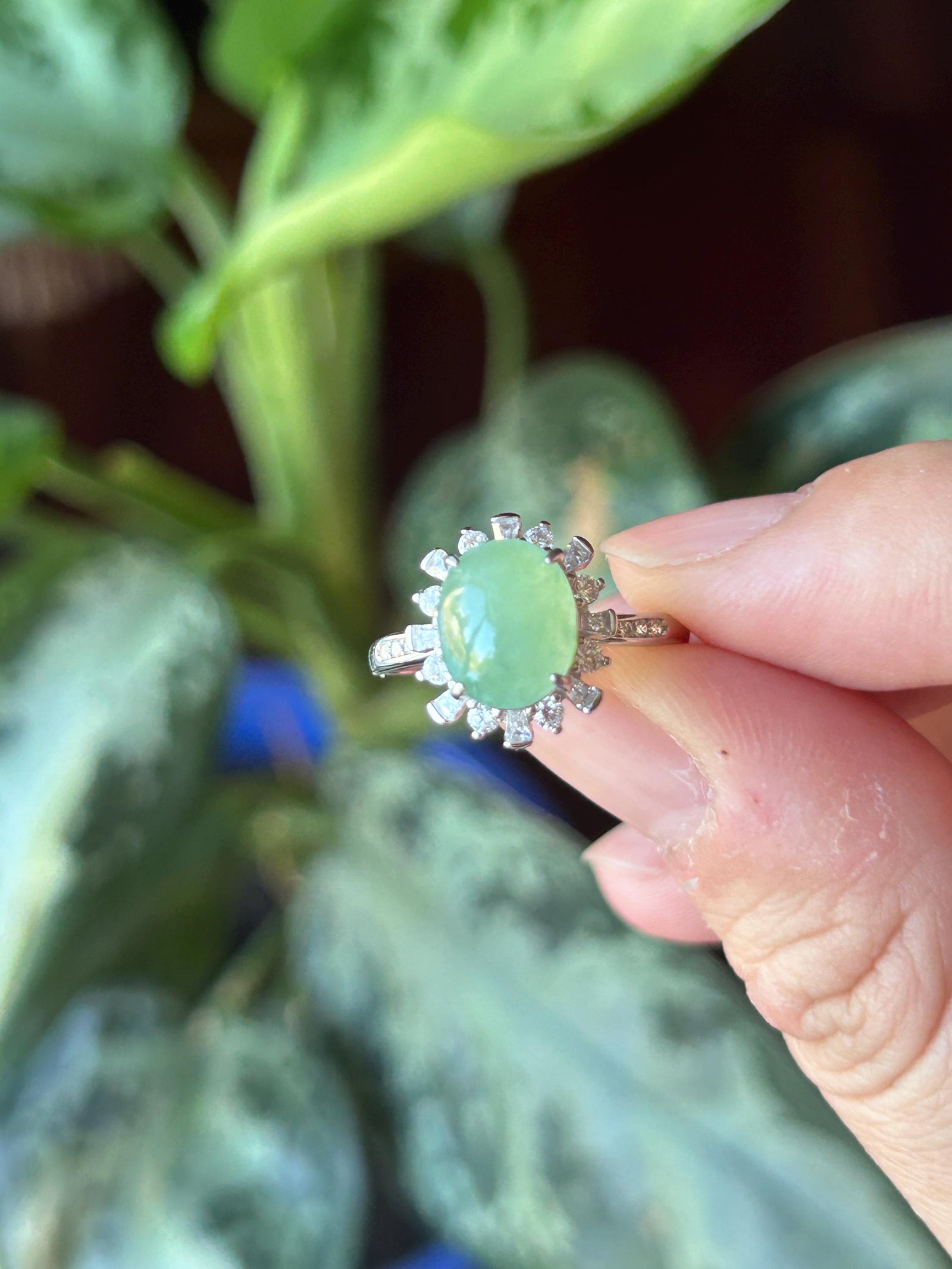 Certified Natural Jadeite Oval Cabochon Ring Burmese Type A fine glutinous Sweet Apple Green Jade | Sterling Silver| Adjustable Size