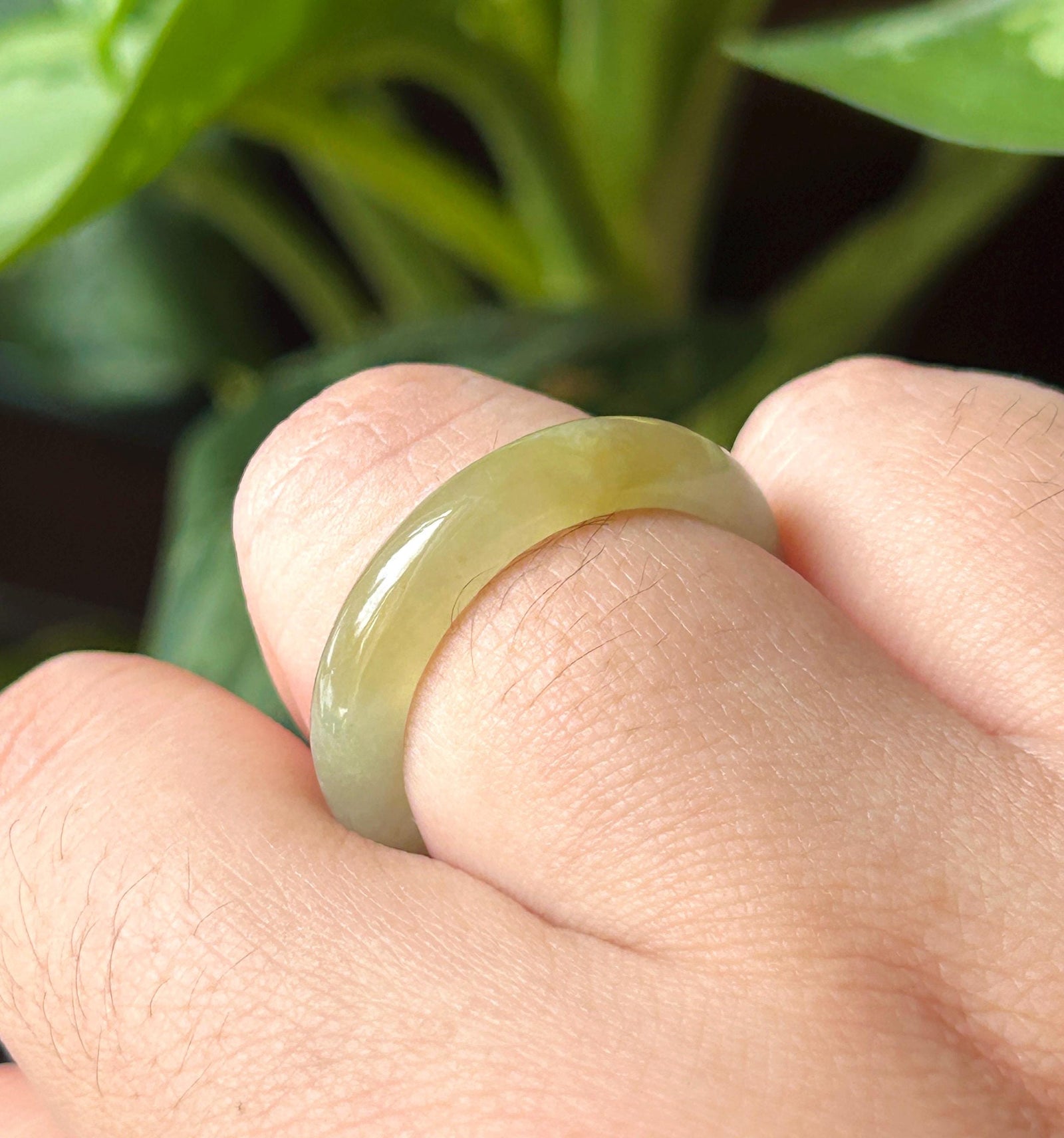 Natural Jadeite Ring Band | Burmese Type A Translucent Icy Glutinous Light Green & Tea Yellow Gradient Color | US Size 8/9