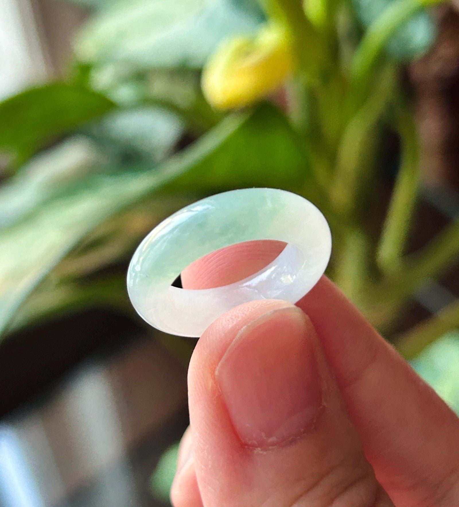 Natural Jadeite Band Ring | Burmese Type A Translucent Icy Glutinous Half Water-Mountain White & Mint Green Jade| US 4.25 - 15 mm