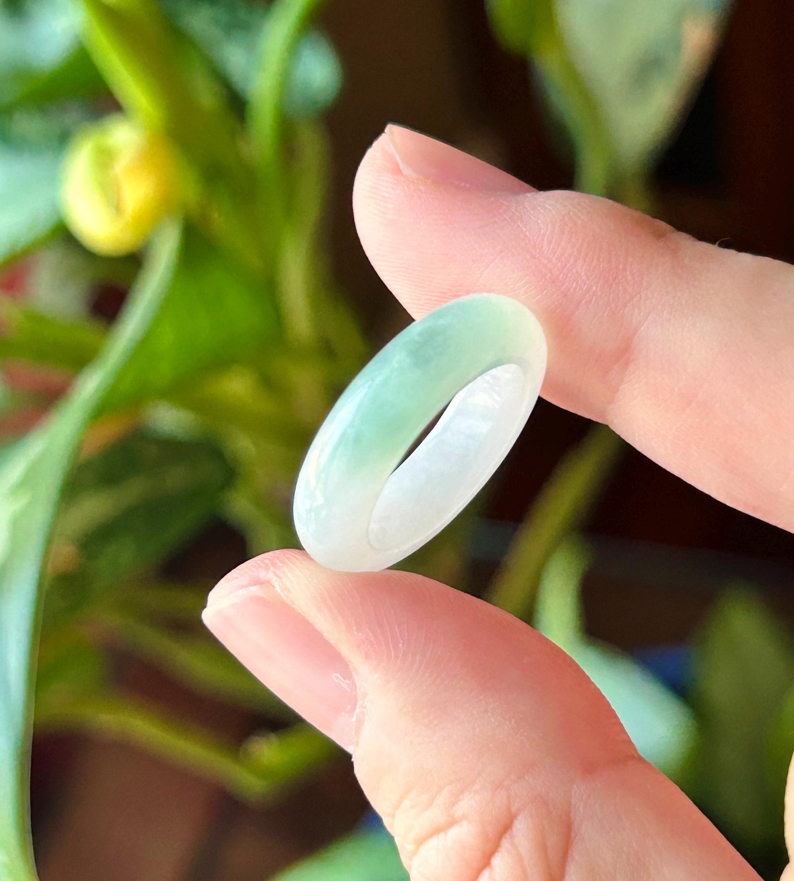 Natural Jadeite Band Ring | Burmese Type A Translucent Icy Glutinous Half Water-Mountain White & Mint Green Jade| US 4.25 - 15 mm