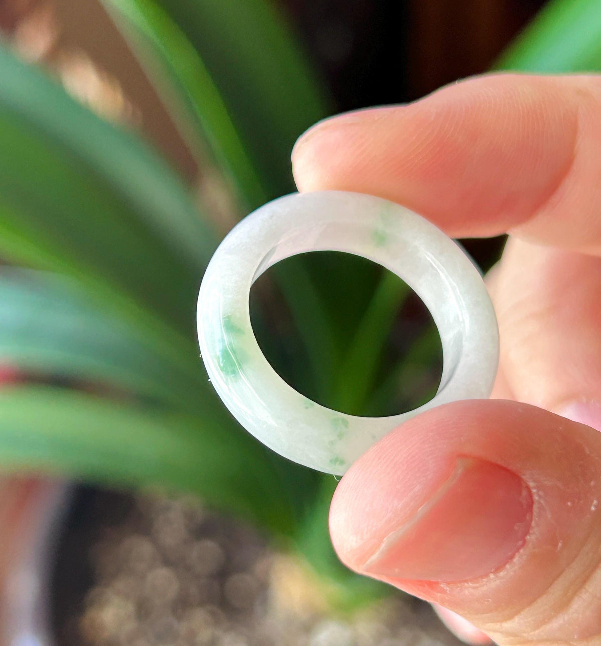 Certified Natural Jadeite Band Ring | Burmese Type A Fine Glutinous Icy White Base Green Floral Jade |Moss in Snow| US 9 |19.3mm