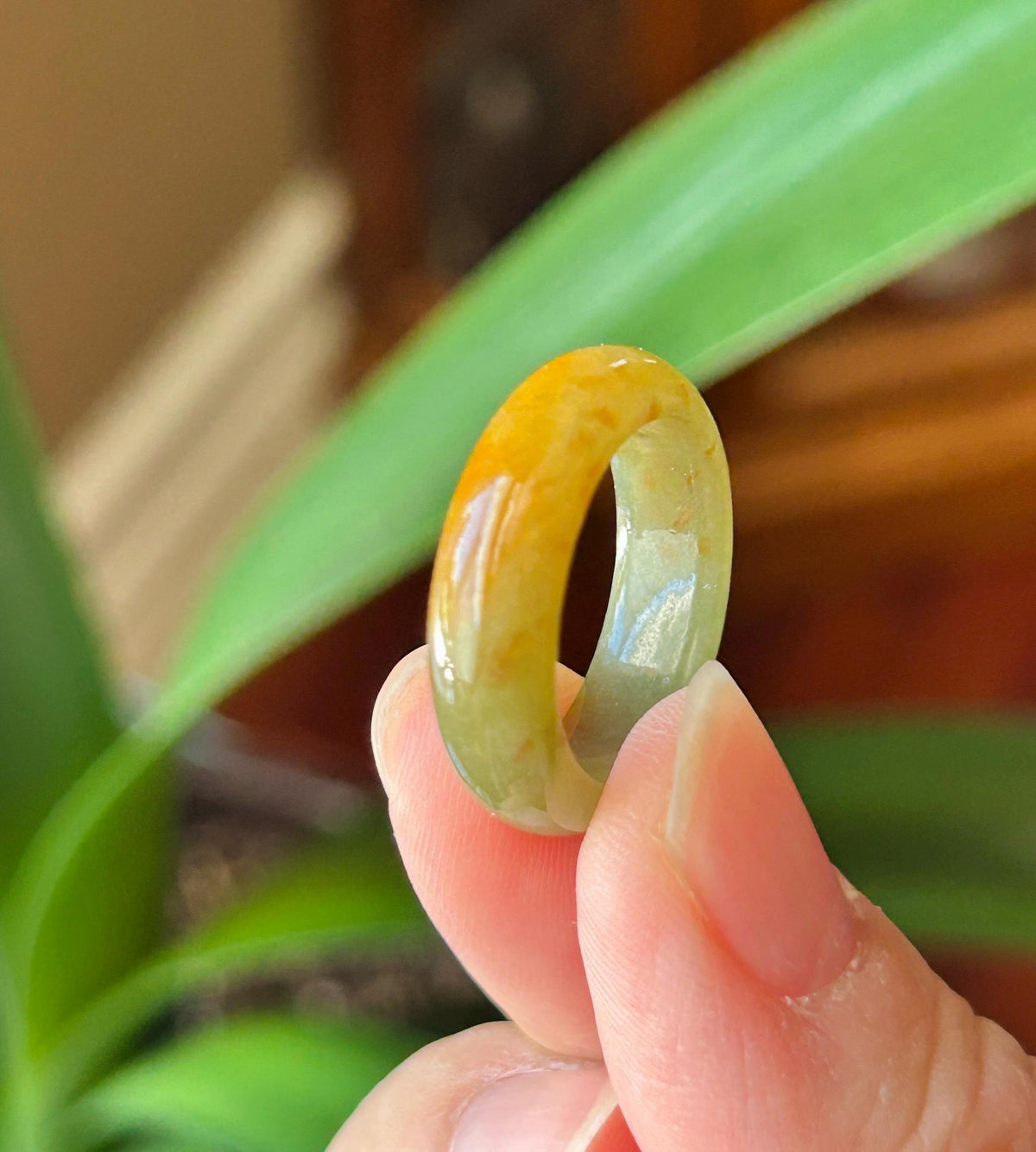 Natural Jadeite Ring | Burmese Type A Fine Glutinous Icy Olive Tea Yellow with Red Floral Jade Band US 6.5