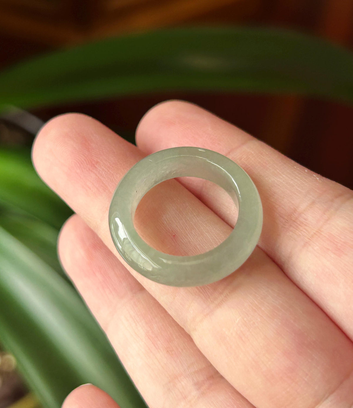 Natural Jadeite Band Ring | Burmese Type A Highly Translucent Icy Pale Green Jade US 6.5 - 17mm